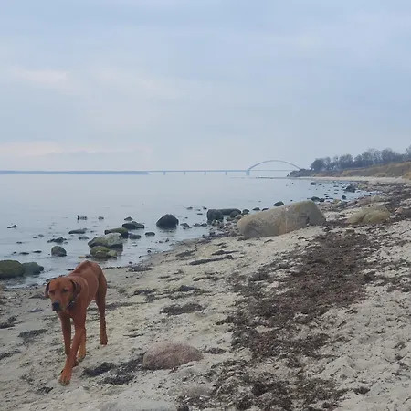 Apartment Sahrensdorfer Mühle 3 - A63591